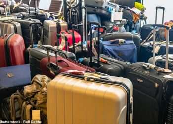 Revealed: The airline who loses the most bags in the UK
