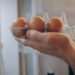 Warning over ‘dangerous’ egg storage mistake that could make you ill