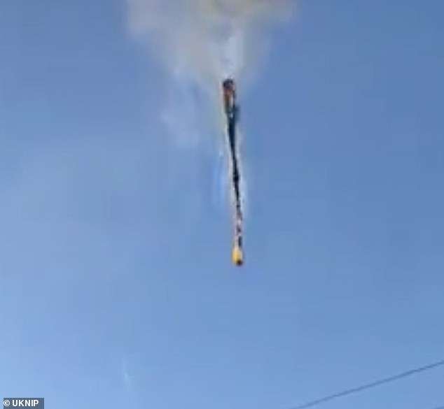 Eight die as hot-air balloon bursts into flames and plunges to the ground in Brazil – after 14 jumped to safety before craft burned completely