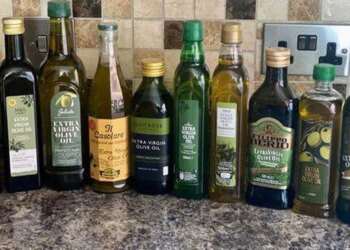 ‘I compared supermarket olive oils – the best was £7.50 cheaper than popular brand’
