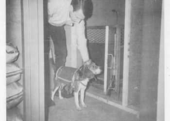 Inside the CIA’s secret squad of adorable assassins dubbed ‘Project 94’