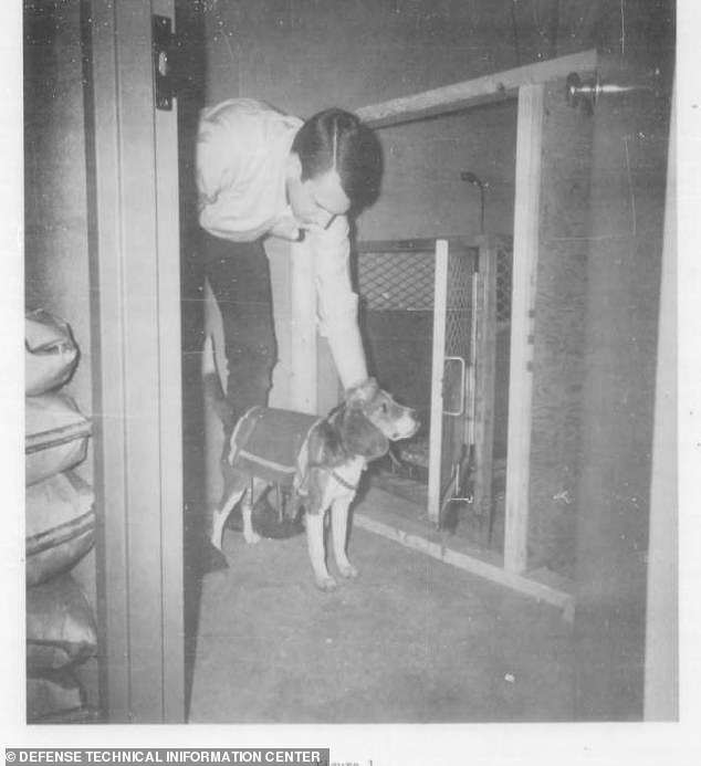 Inside the CIA’s secret squad of adorable assassins dubbed ‘Project 94’