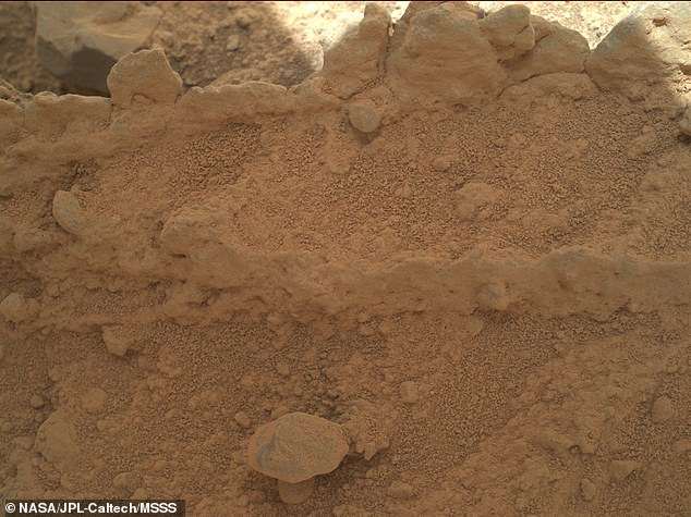 Life on Mars? Mysterious ‘mushroom’ is spotted on the Red Planet in photo snapped by NASA’s Curiosity rover