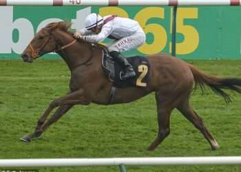 Tragedy as Royal Ascot horse Harry’s Girl dies seconds into opening race of day two