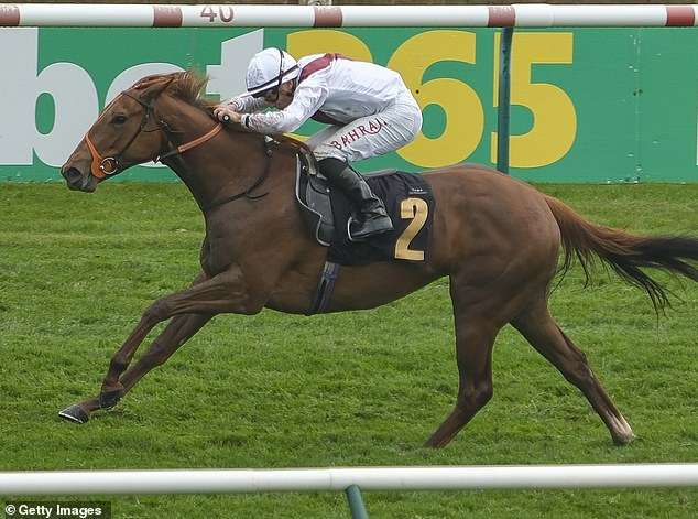 Tragedy as Royal Ascot horse Harry’s Girl dies seconds into opening race of day two