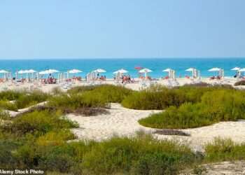 Where to move so you don’t have to pay any income tax