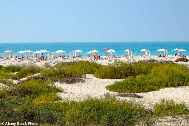 Where to move so you don’t have to pay any income tax