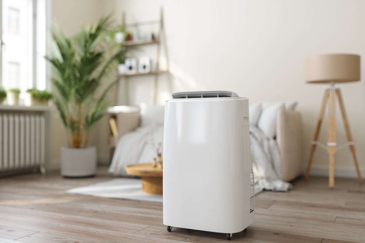 How much it costs to run a dehumidifier, according to experts