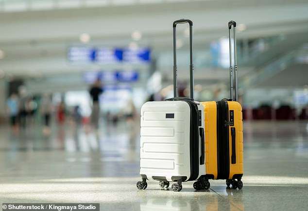 Ryanair boss slaps down EU proposals for two free bags per passenger