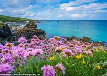 The UK’s most breathtaking coastline revealed – and it has ‘views to rival Malibu’