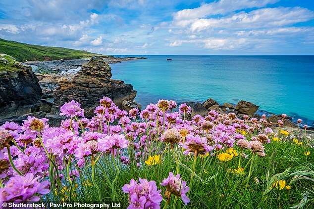 The UK’s most breathtaking coastline revealed – and it has ‘views to rival Malibu’