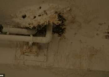 Most run-down NHS hospitals named and shamed – as staggering £14billion is needed to fix crumbling wards that pose a ‘catastrophic’ risk to patients