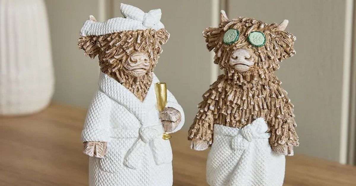 Next shoppers gush over ‘cute’ £12 ornament that ‘completes their bathroom’