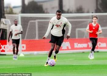 Alexander Isak jets in to start work for Liverpool amid death threat drama in Sweden – just 24 hours after playing for his country