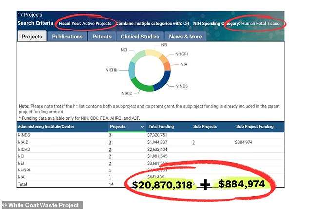 Biden’s NIH allowed experiments that implanted animals with pieces of aborted human fetuses, watchdog group claims