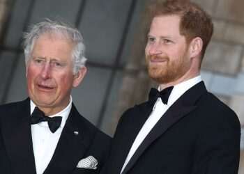 King Charles is ‘perplexed’ by Prince Harry’s claims ‘men in grey suits’ are sabotaging his reconciliation with his father
