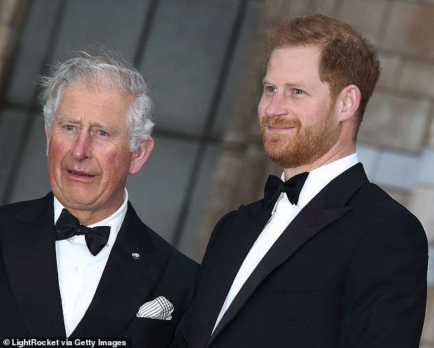 King Charles is ‘perplexed’ by Prince Harry’s claims ‘men in grey suits’ are sabotaging his reconciliation with his father