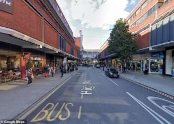 London’s ROTTEN ‘banana’ revealed: The worst places to live in the capital – based on house prices, crime and health