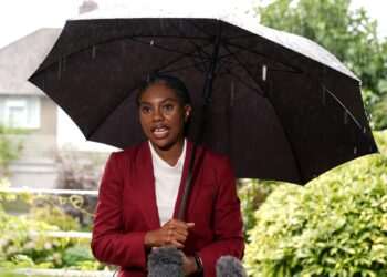 Tory donations fall despite video game entrepreneur’s £1m gift