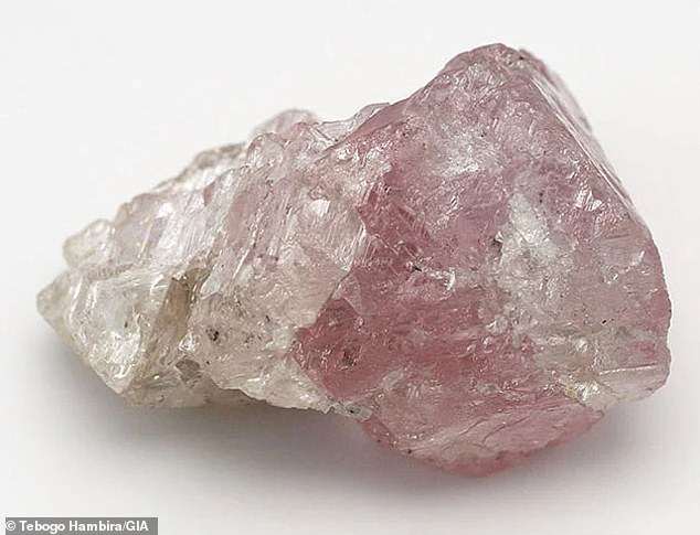 A cut above the rest! Rare half-pink diamond weighing 37.4 CARATS is discovered in Botswana