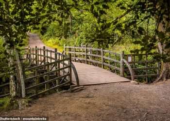 Inside the birthplace of Winnie the Pooh – where to visit the real Hundred Acre Wood