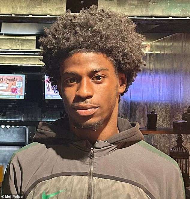 Murder probe is launched after 19-year-old boy stabbed in London street dies in hospital