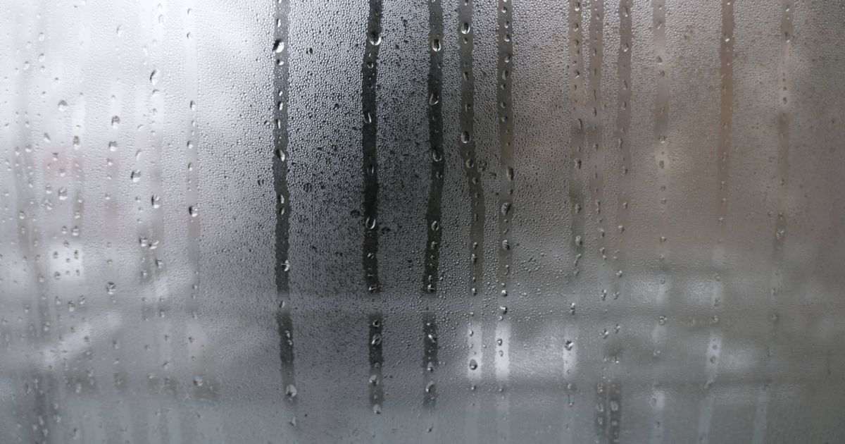 Windows will be free of condensation if 1 item that ‘absorbs moisture’ is used