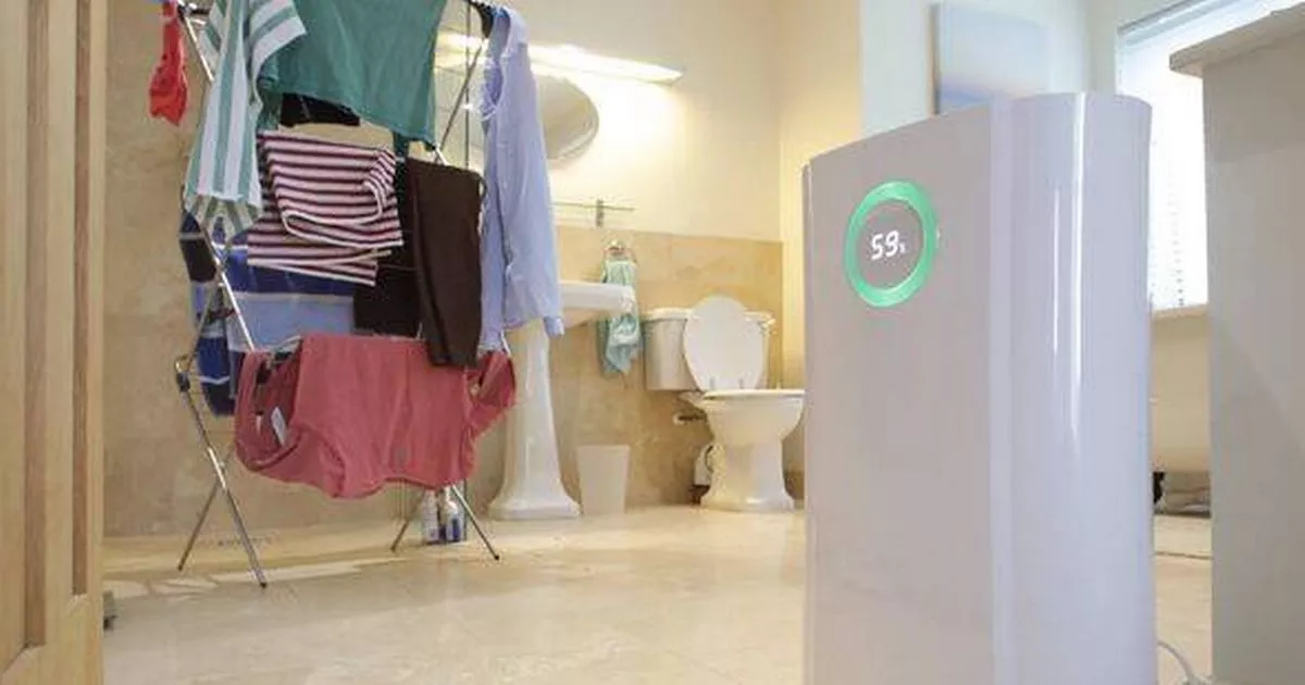 Dehumidifiers won’t dry clothes or remove condensation unless one rule is followed