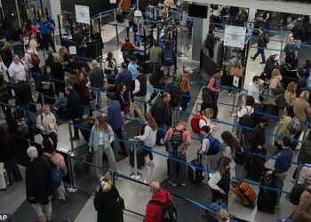 Dire warning for Americans traveling to see family on Thanksgiving as shutdown WILL wreak havoc during holidays