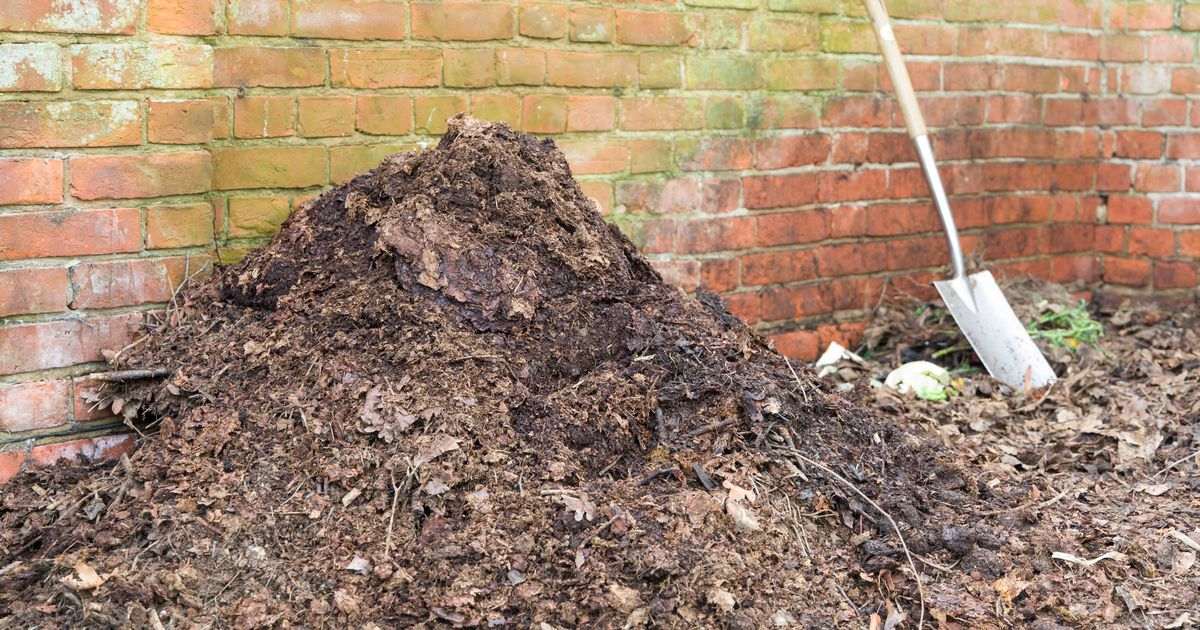 Gardeners urged to do 1 thing with fallen leaves before the end of November