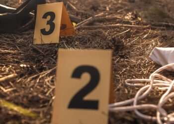 ‘Masterpiece’ crime novel about famous murders is ‘the best thing anyone will ever read’ | Books | Entertainment