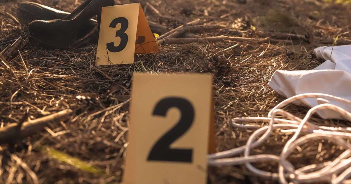 ‘Masterpiece’ crime novel about famous murders is ‘the best thing anyone will ever read’ | Books | Entertainment