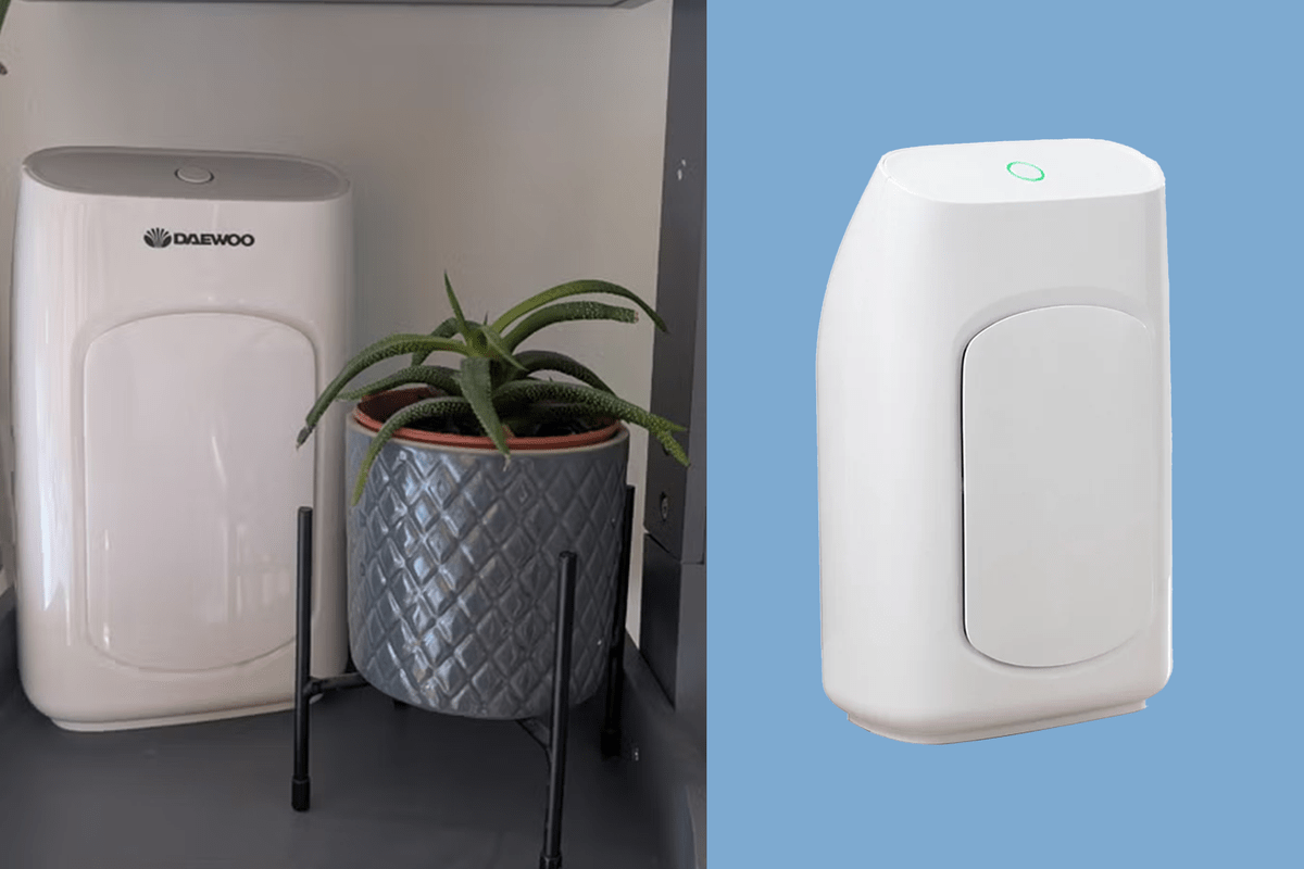 You can stop worrying about damp in your home thanks to this budget appliance