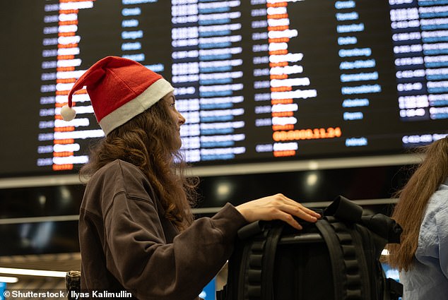 FAA issues nationwide travel alerts triggering hours-long delays for thousands of holiday flyers