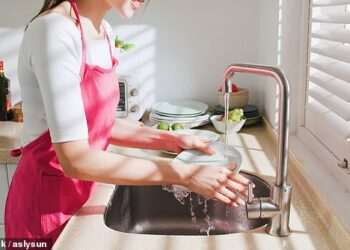 The disgusting reason why you should NEVER leave dishes soaking in the sink overnight: ‘Pool of harmful bacteria’