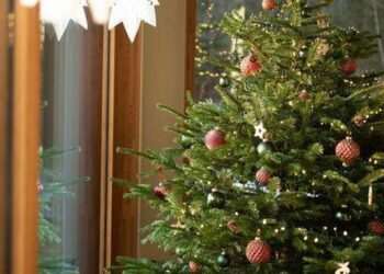 Warning issued to people with Christmas trees ‘near a window’