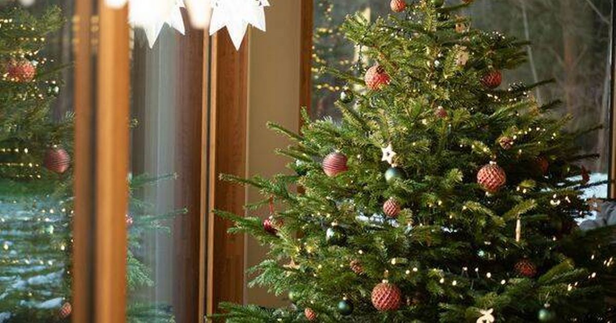 Warning issued to people with Christmas trees ‘near a window’