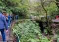 Popular Portuguese island dubbed ‘Hawaii of Europe’ increases tourist fees
