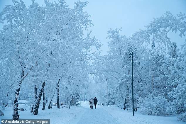 Putin agrees one-week ceasefire in Ukraine, Trump says after ‘extraordinary’ phone call