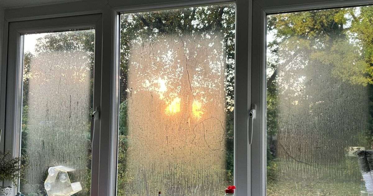 Simple trick to prevent window condensation all householders should follow