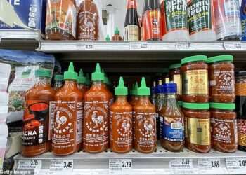 Feeling hot, hot, HOT! Experts reveal the best chilli sauces that can boost your health – and the ones to avoid