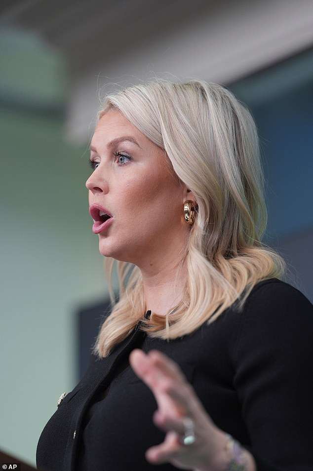 Furious Karoline Leavitt blames DEMOCRATS for Trump’s ‘third assassination attempt’