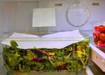 Lettuce will stay fresh for two weeks and not wilt if you add 1 kitchen item to fridge