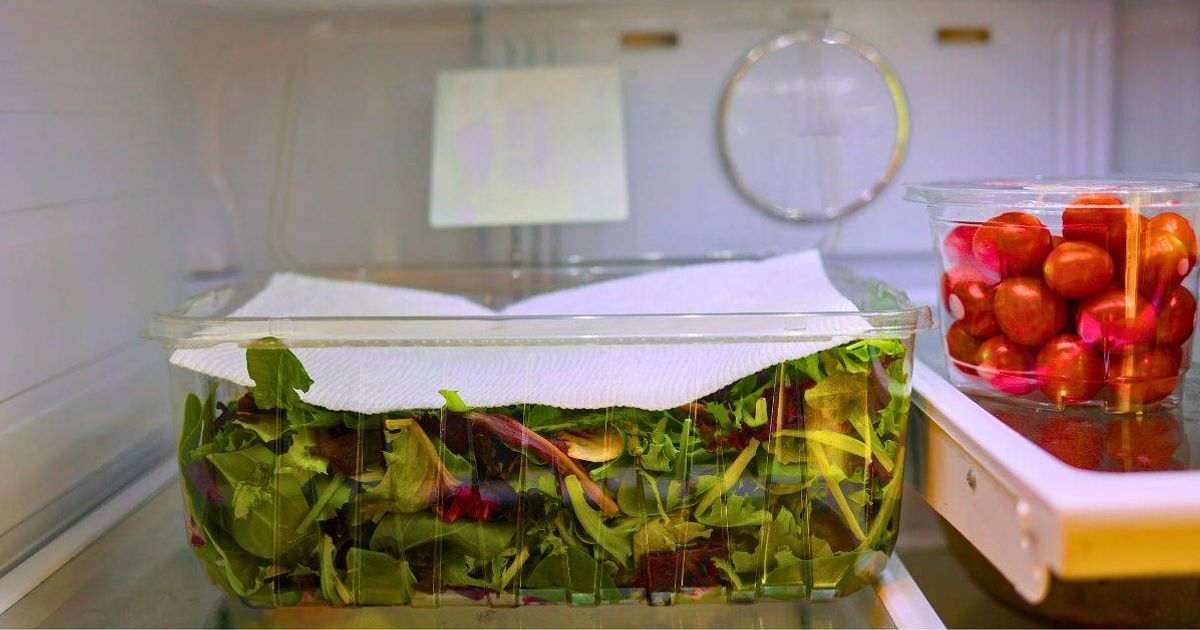 Lettuce will stay fresh for two weeks and not wilt if you add 1 kitchen item to fridge