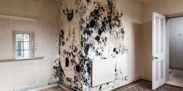 The locations in your home riddled with toxic mould – as new study confirms exposure as a child can cause serious lung issues all the way into adolescence