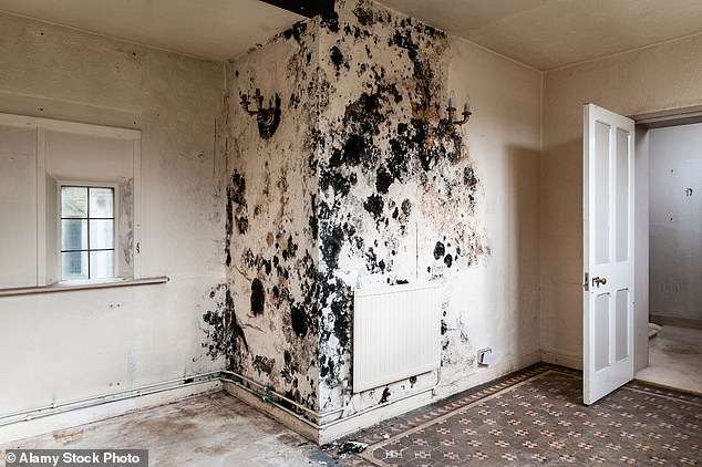 The locations in your home riddled with toxic mould – as new study confirms exposure as a child can cause serious lung issues all the way into adolescence