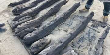 The race to save the Swash Channel Wreck: Archaeologists fight the tides to excavate a 17th century shipwreck in Dorset