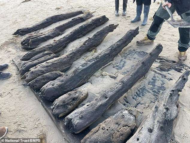 The race to save the Swash Channel Wreck: Archaeologists fight the tides to excavate a 17th century shipwreck in Dorset