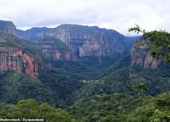 Trump administration adds another CDC travel advisory for deadly virus as it spreads to Americas