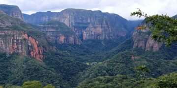 Trump administration adds another CDC travel advisory for deadly virus as it spreads to Americas